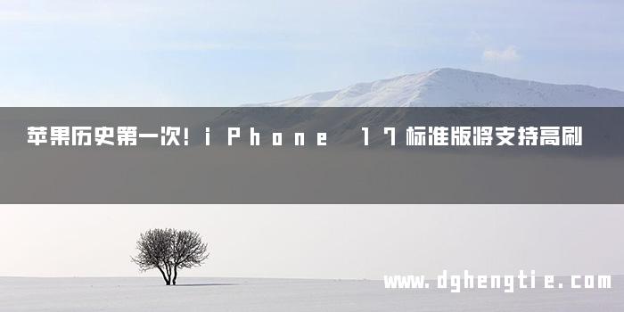 苹果历史第一次！iPhone 17标准版将支持高刷